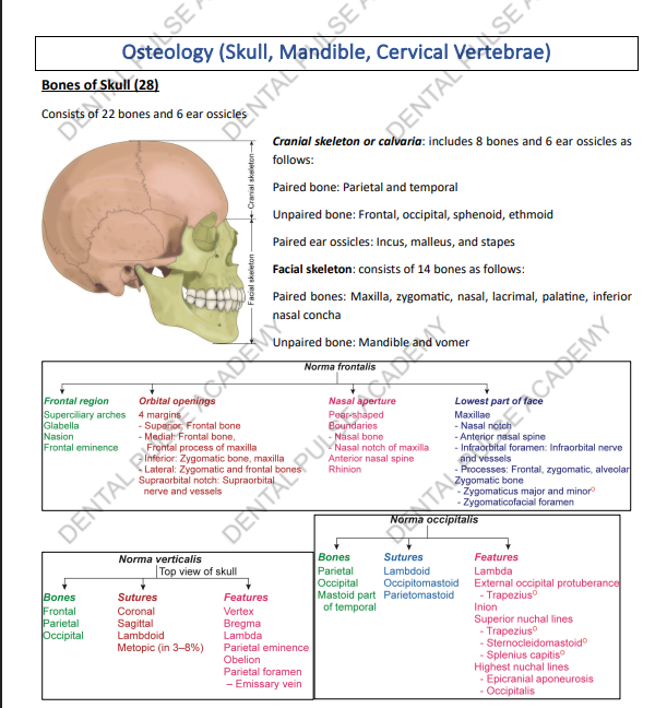 Dental Pulse Academy osteology smart notes on a phone