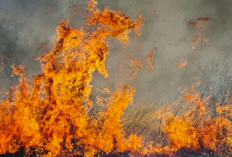 Eaton Canyon fire breaks out near Altadena, forcing evacuations